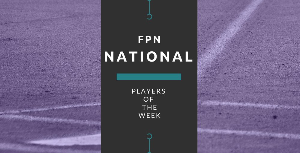 Buy Pleasanton Softball Champion 2018 National Pro Fastpitch NPF